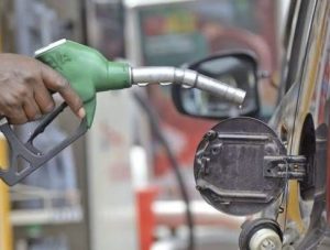 Oil price rises hit hardest in fruit, and by farm location