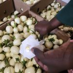 Ugandan startup creates Sh31 sachet to stop harvested fruit & veg rotting
