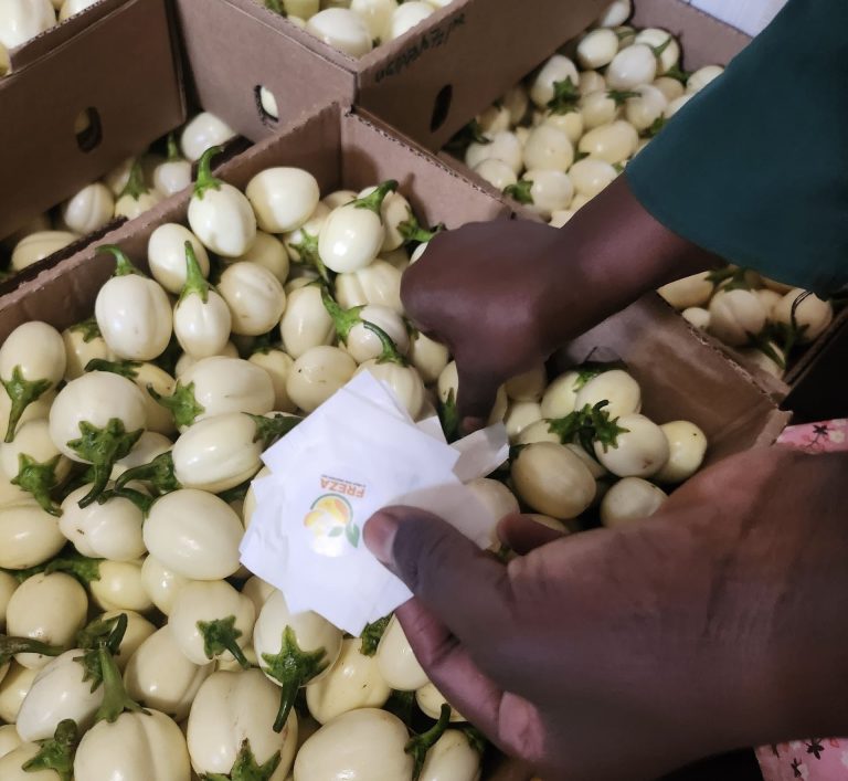 Ugandan startup creates Sh31 sachet to stop harvested fruit & veg rotting