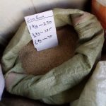 Oil drives up imported sesame prices in new opportunity for Kenyan farmers
