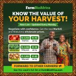 FarmBizAfrica launches weekly market prices to help farmers earn more